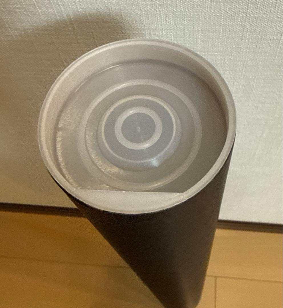 LadyGaga 2026ツアーポスター　CLAW PHOTO POSTER