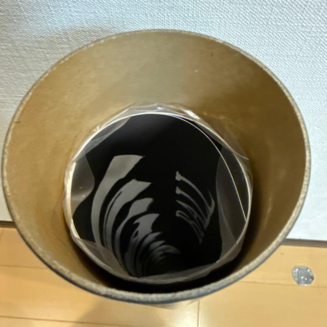 LadyGaga 2026ツアーポスター　CLAW PHOTO POSTER