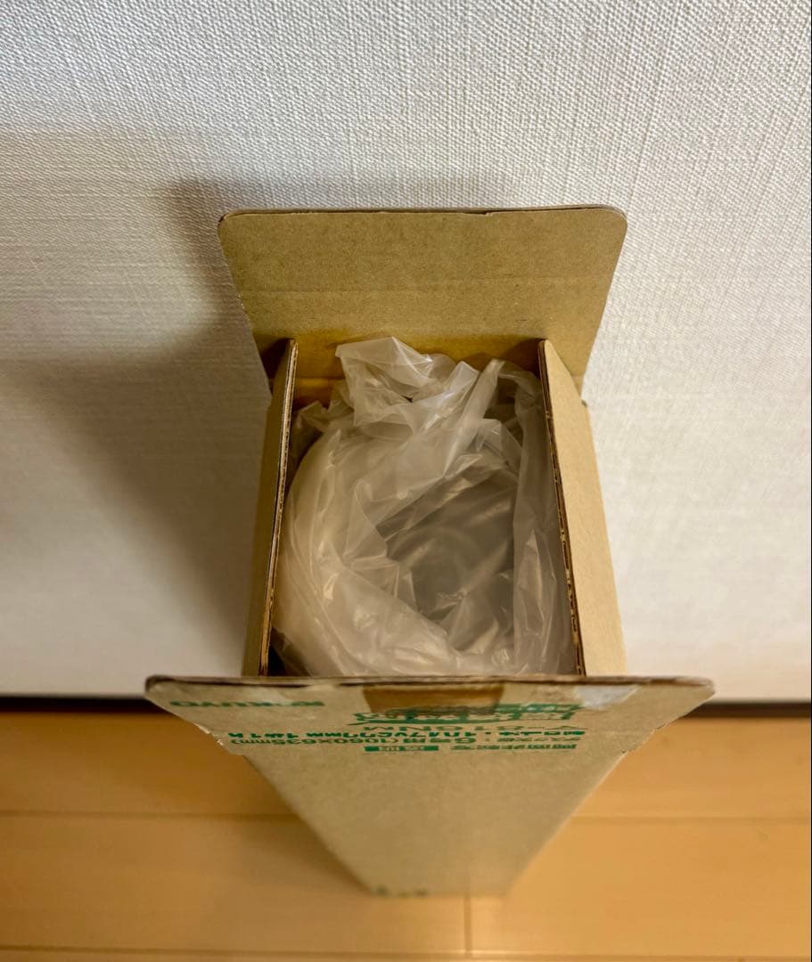 LadyGaga 2026ツアーポスター　CLAW PHOTO POSTER