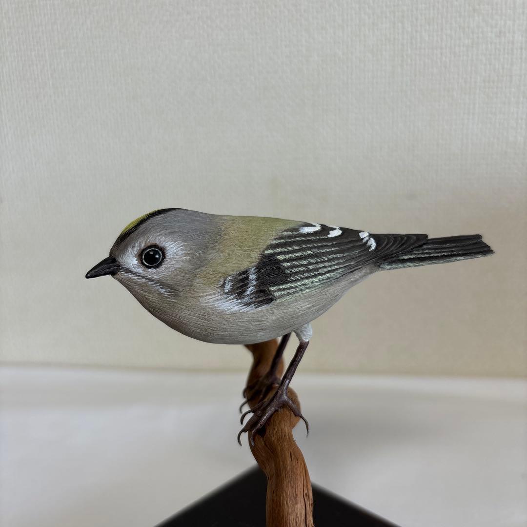 バードカービング　キクイタダキ