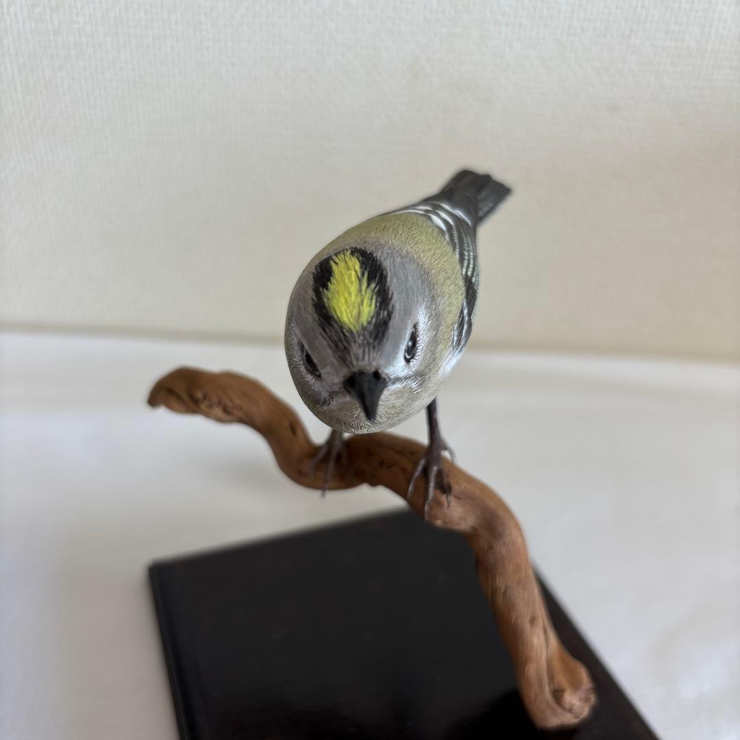 バードカービング　キクイタダキ