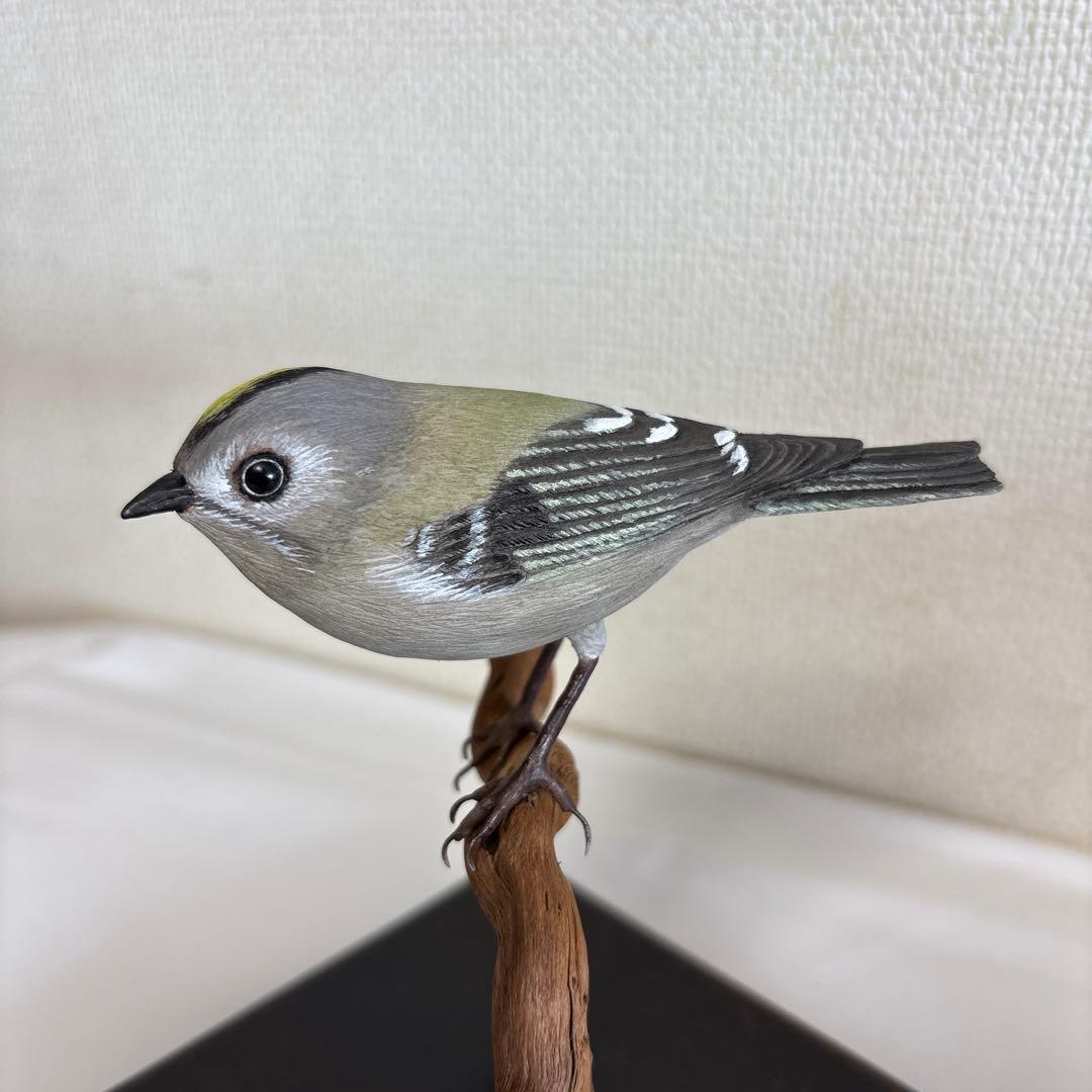 バードカービング　キクイタダキ