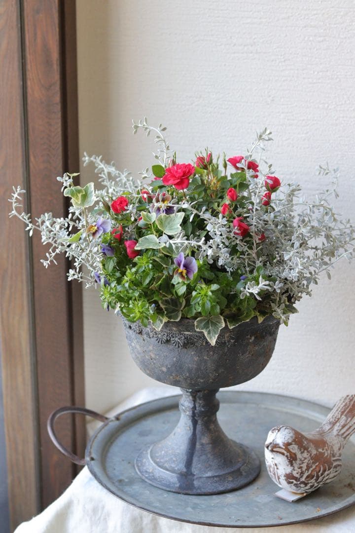 ミニバラのエレガントシックな寄せ植え