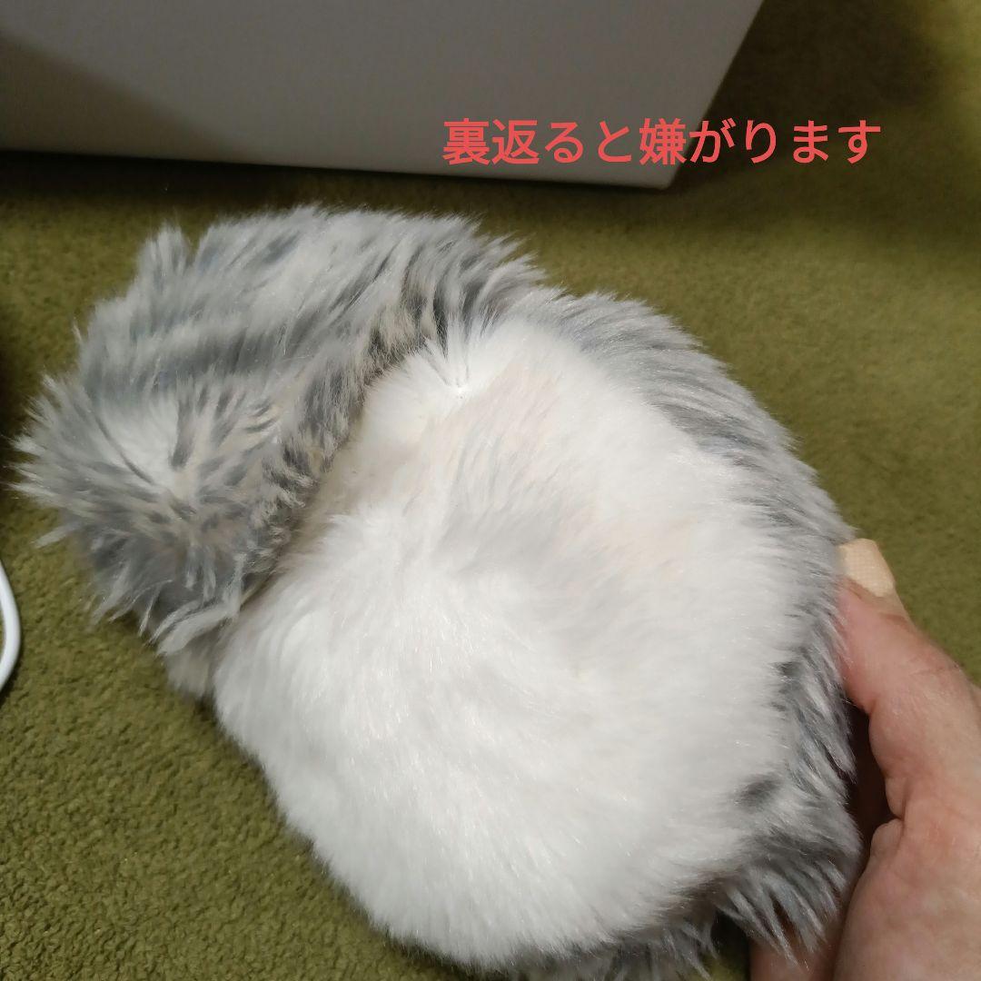 CASIO Moflin　モフリン