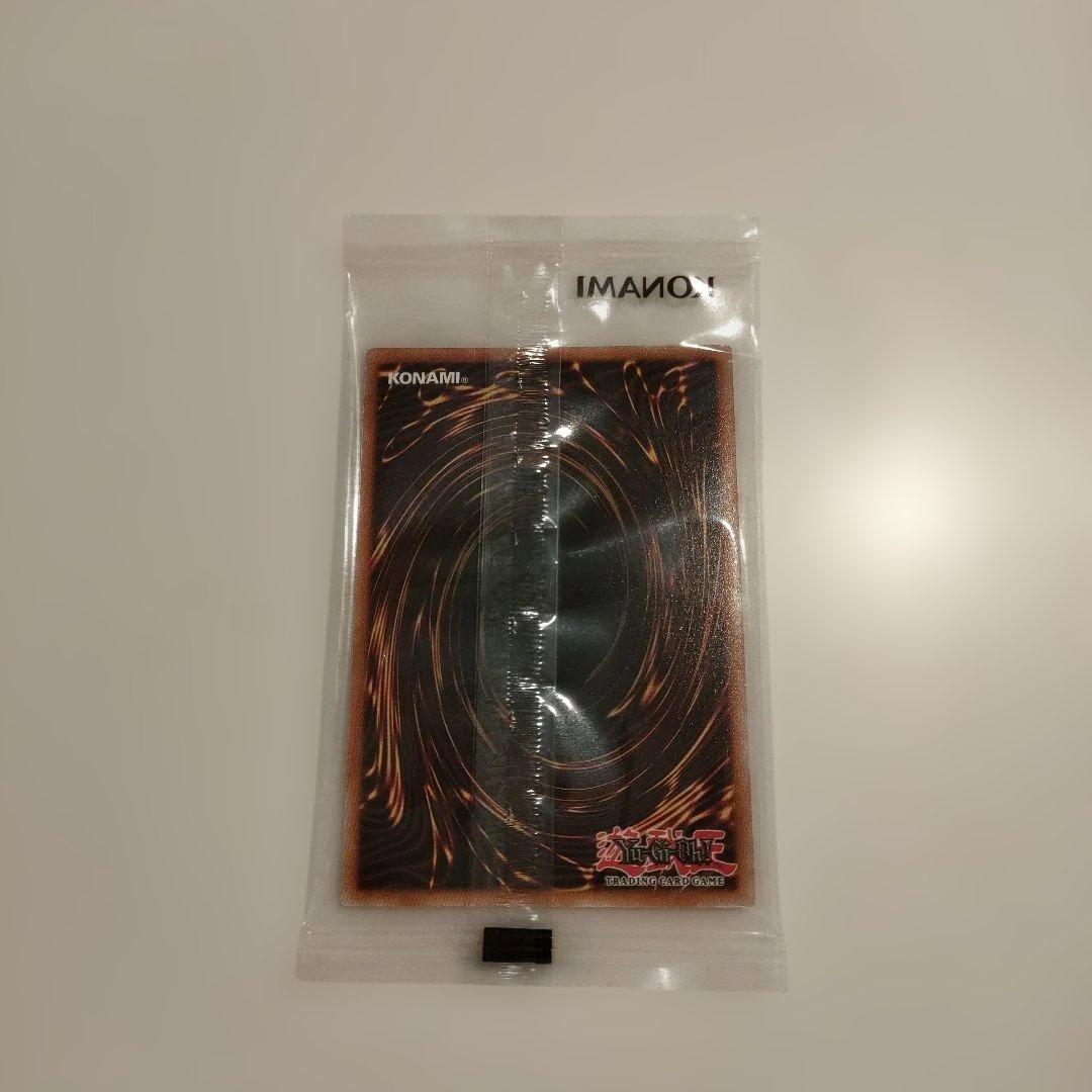 遊戯王　日本選手権　2026 プロモ　The Lady's Protectors