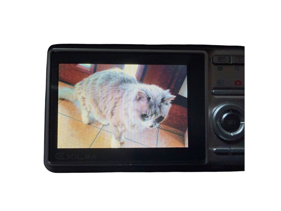 CASIO EXILIM 7.2メガピクセル コンパクト デジカメ EX-Z77