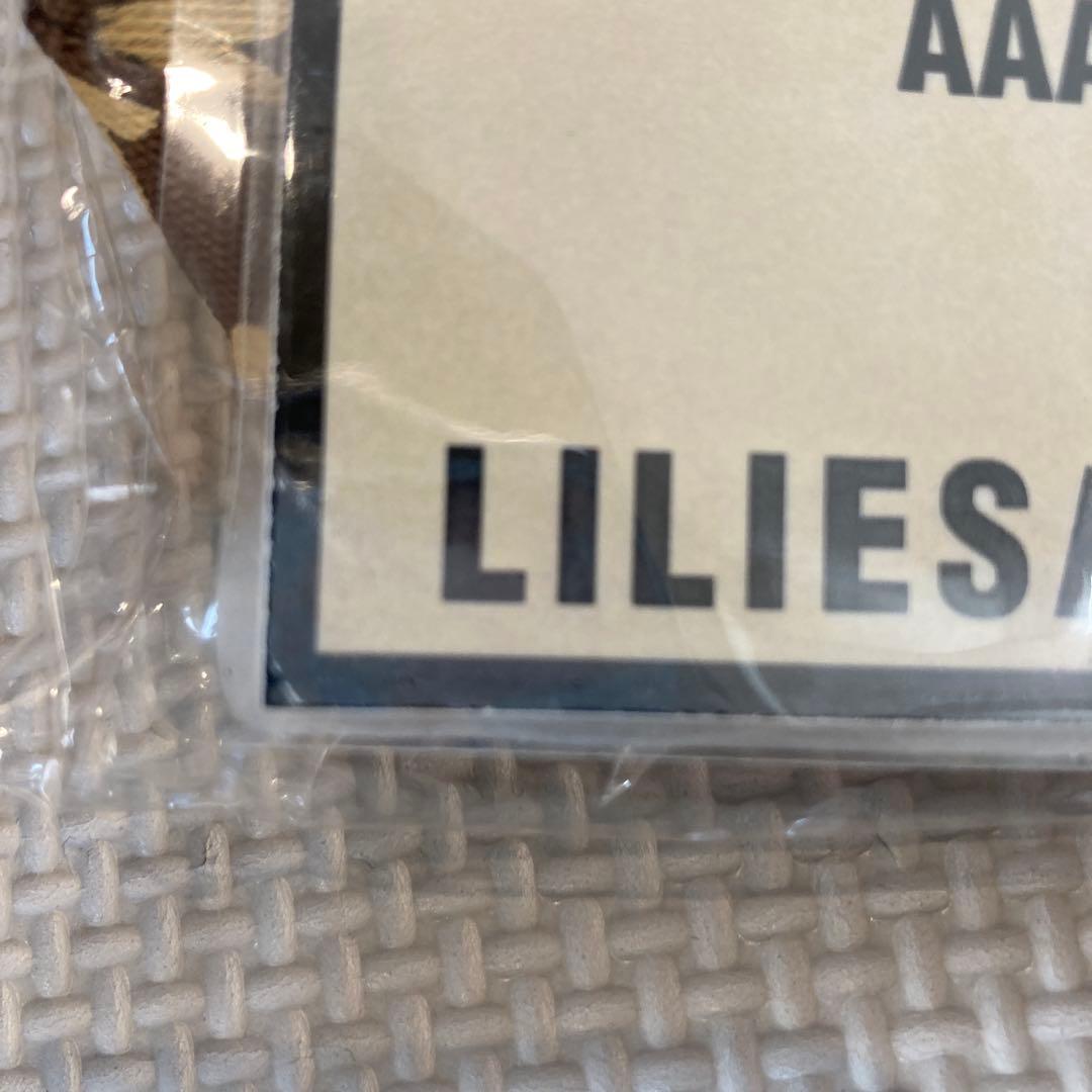 Dragon Ash ドラゴンアッシュ パス 非売品 kj THE RAVENS