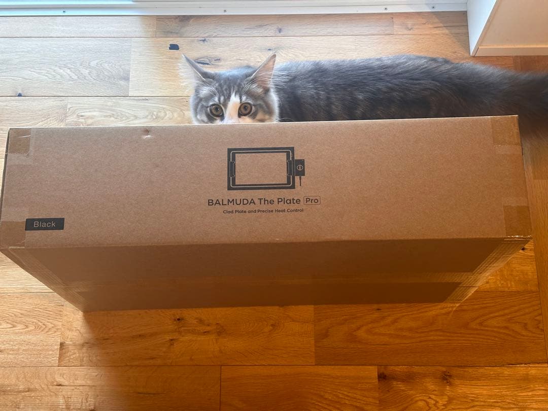 BALMUDA The Plate Proと Griddle & Cover