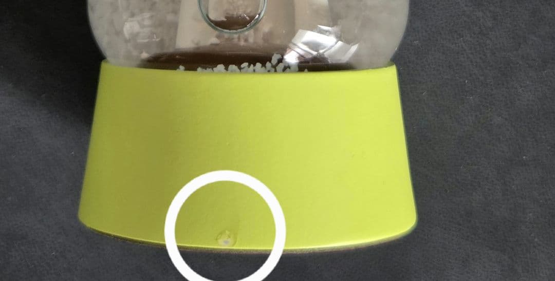 奈良美智 あおもり犬 スノードーム