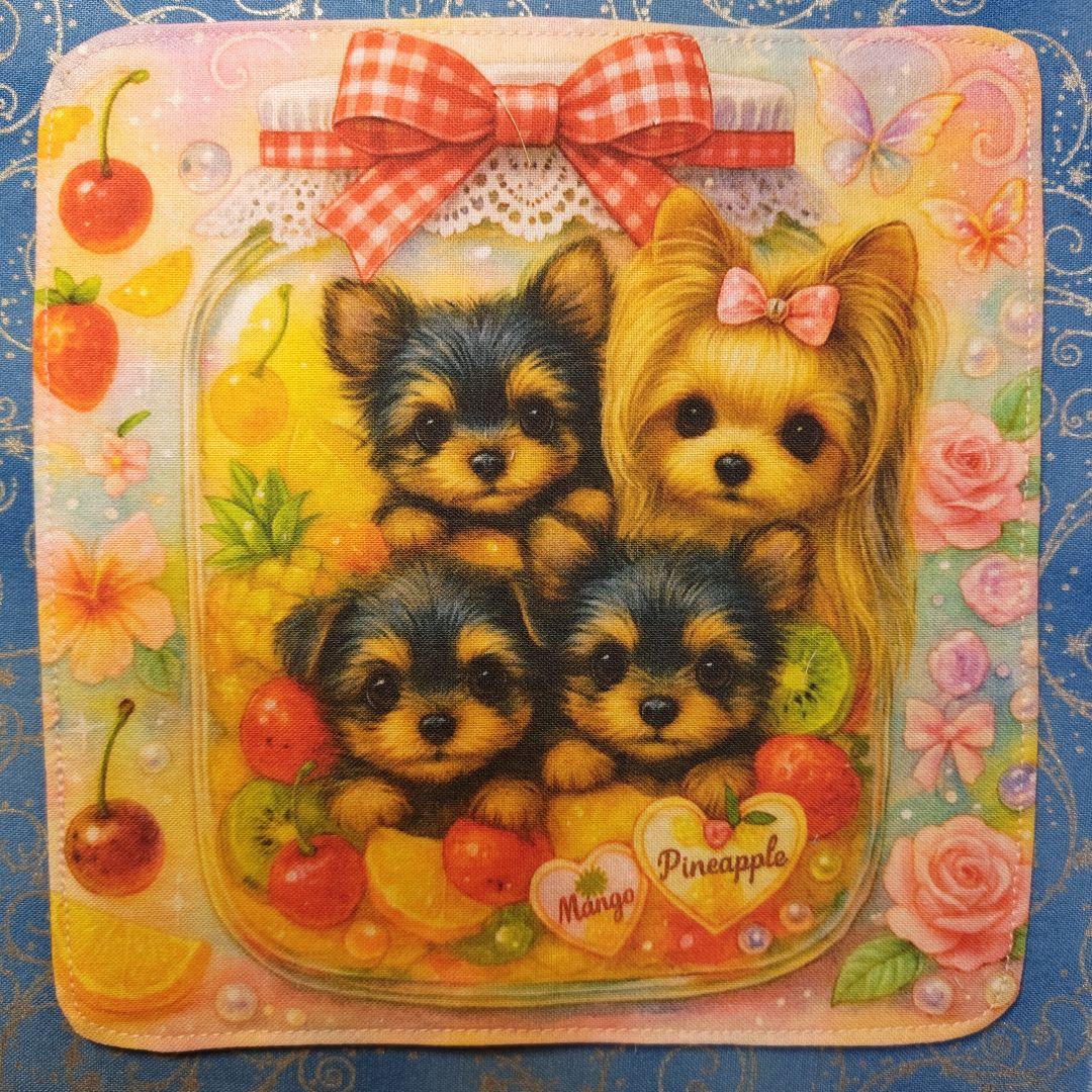 まるみ　ハンカチ　ねこちゃん柄　19枚