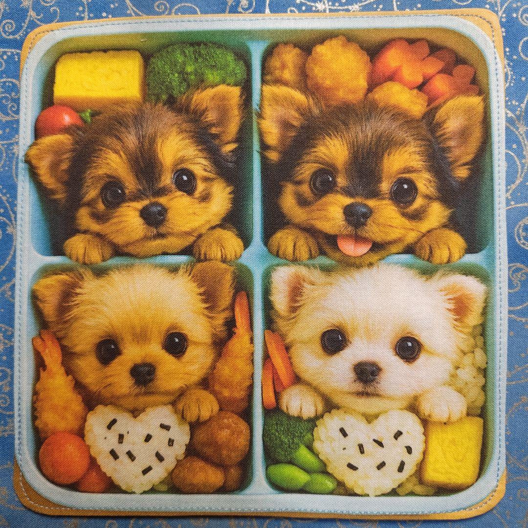 まるみ　ハンカチ　ねこちゃん柄　19枚