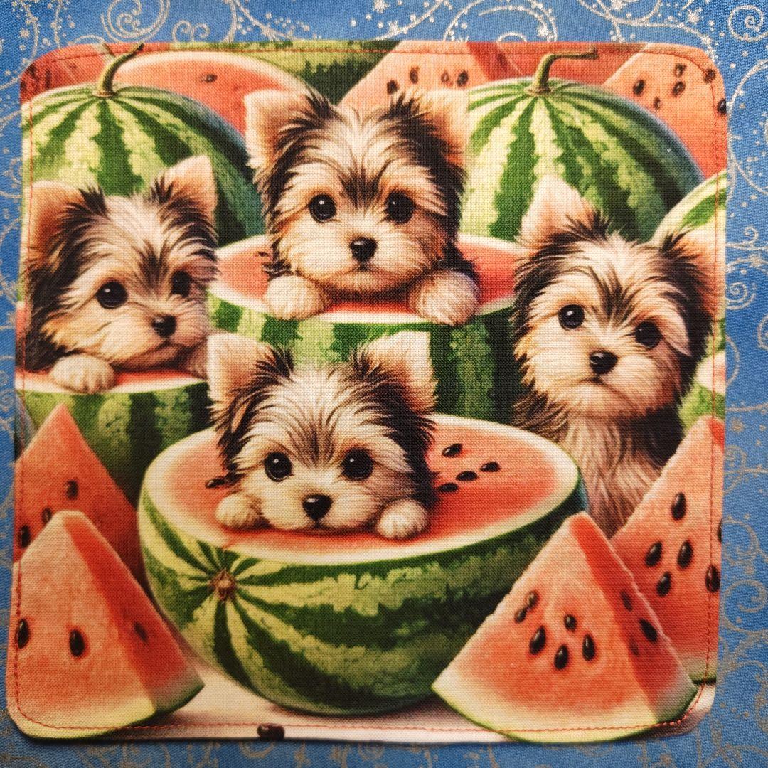 まるみ　ハンカチ　ねこちゃん柄　19枚