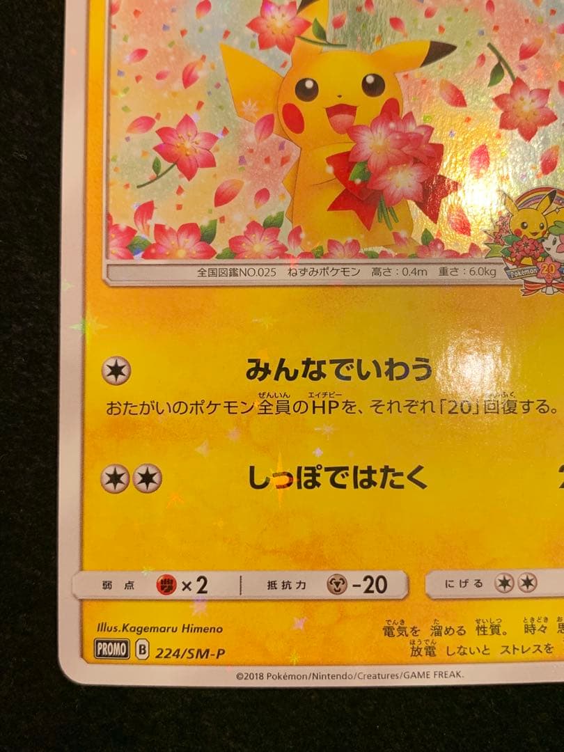 ポケモンカード　ピカチュウ　みんなでいわう　224/SM-P プロモ