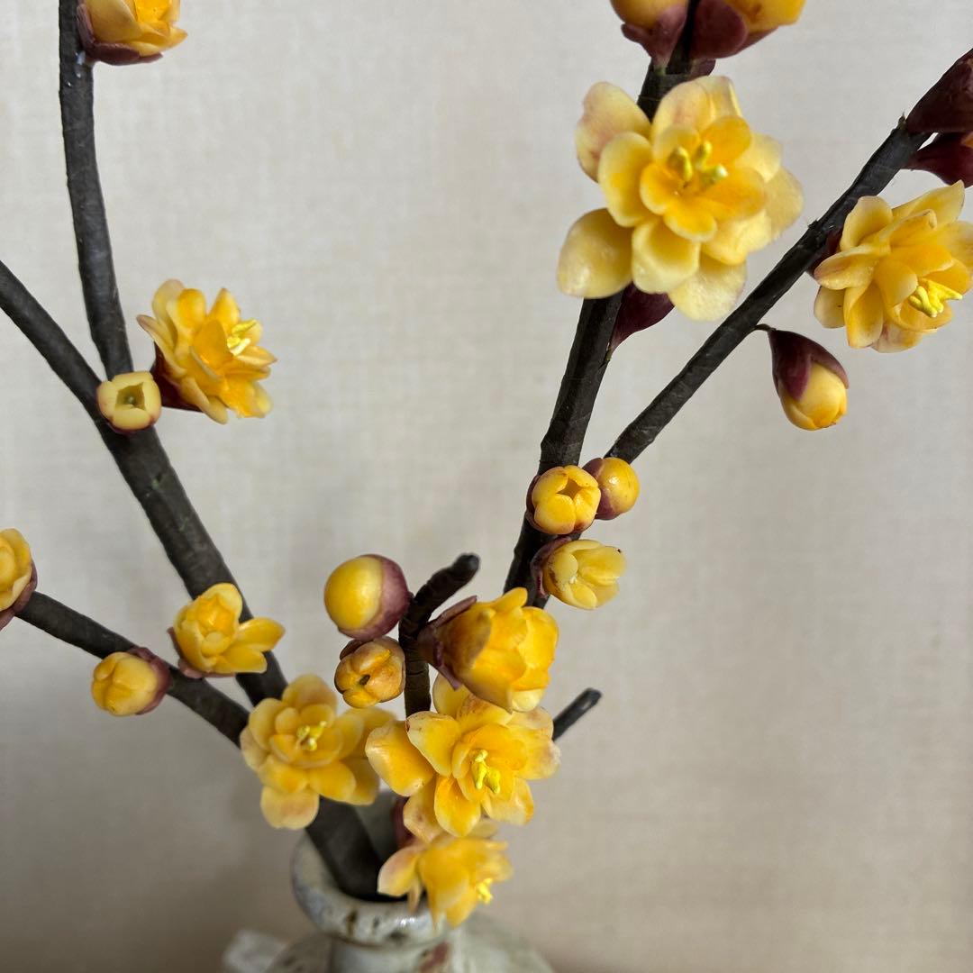 ゆりこ様♡専用　クレイフラワー　ろうばい　葉牡丹