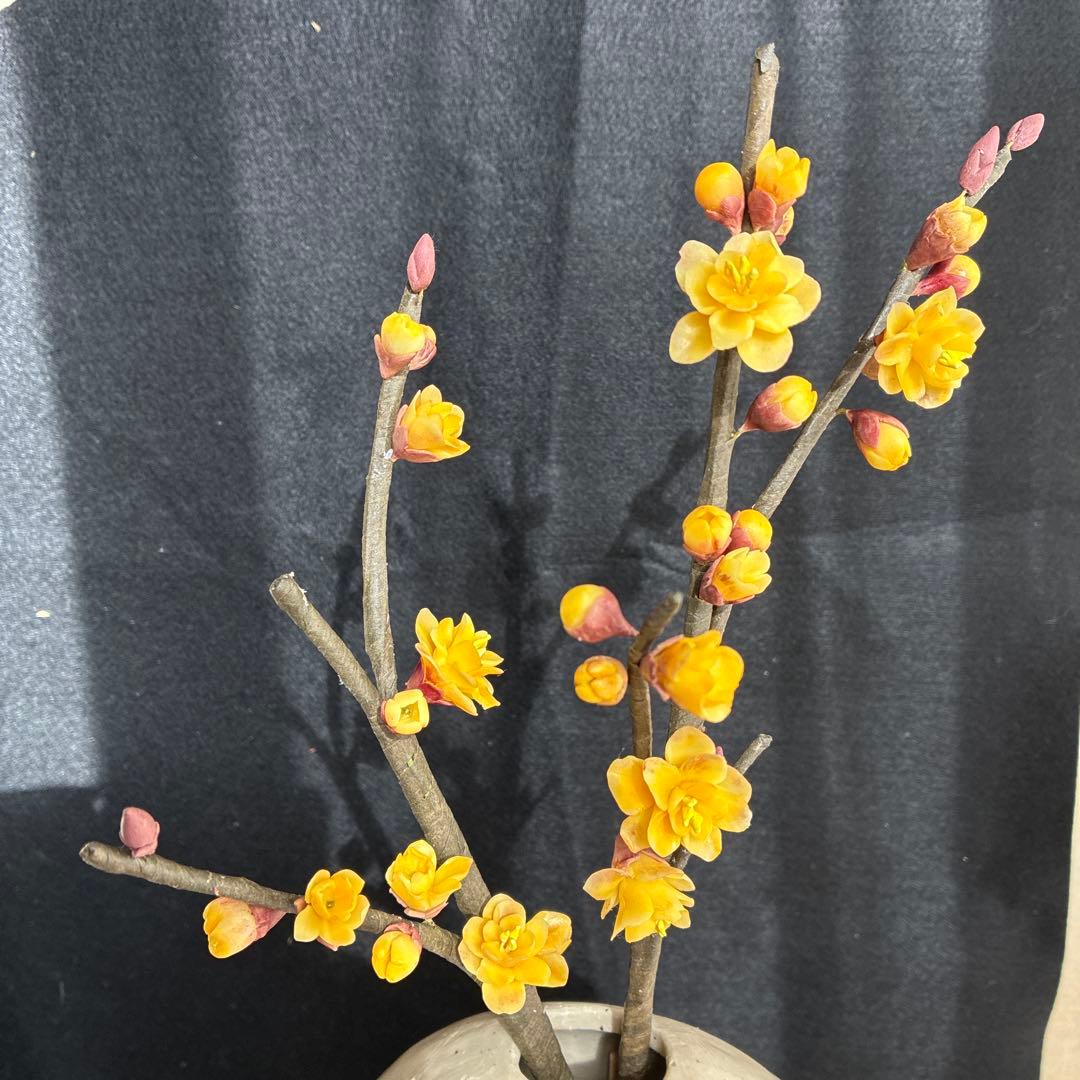 ゆりこ様♡専用　クレイフラワー　ろうばい　葉牡丹