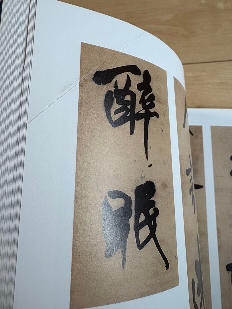 【非売品】王鐸　図録