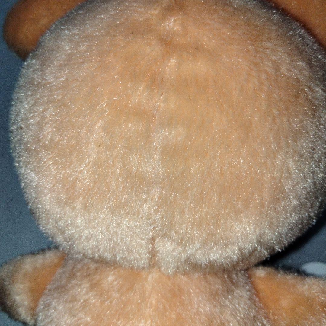 ヒメグマドール ポケモンセンター ポケドール pokedoll ぬいぐるみ