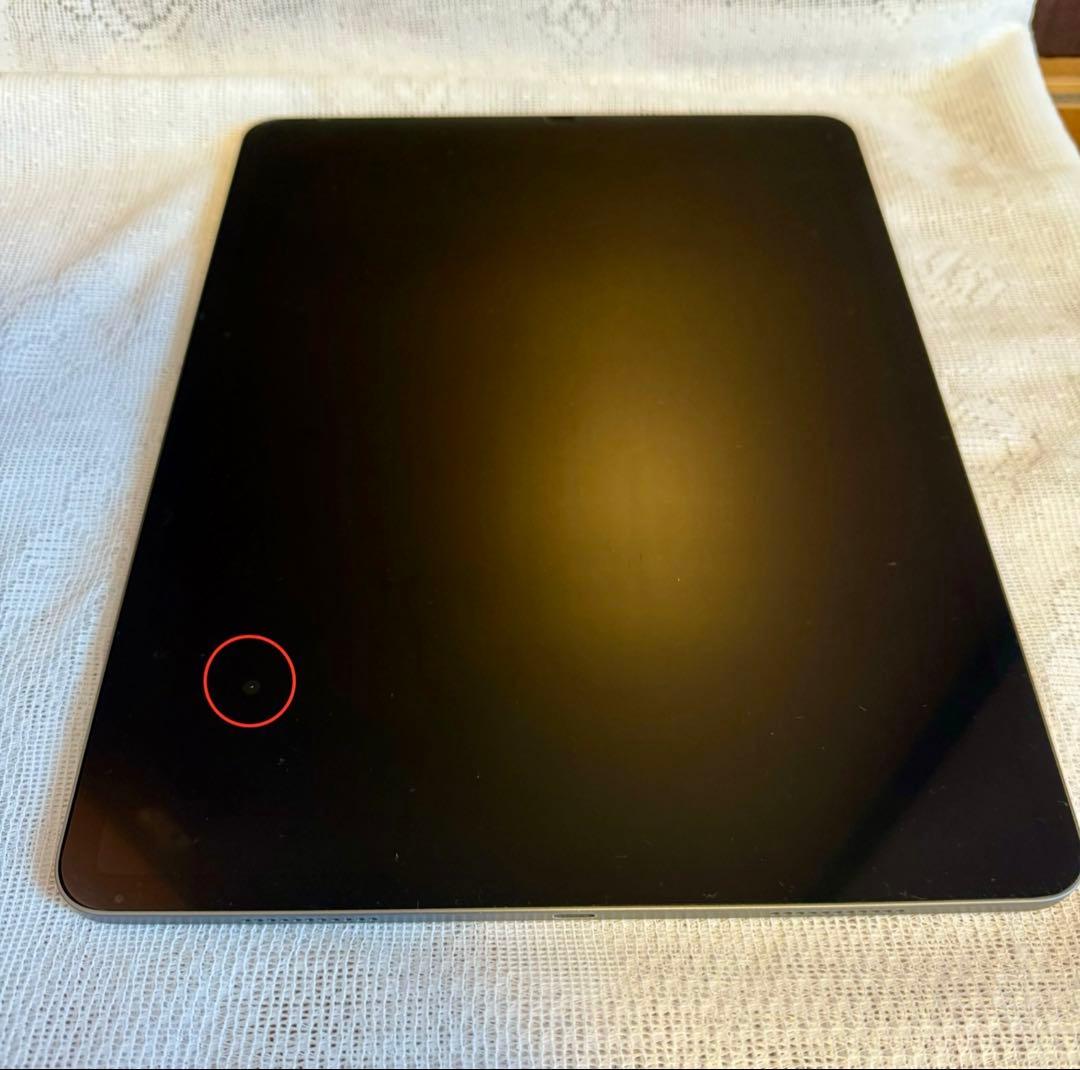 【超美品】Apple iPad Pro 12.9インチ 第5世代 256GB