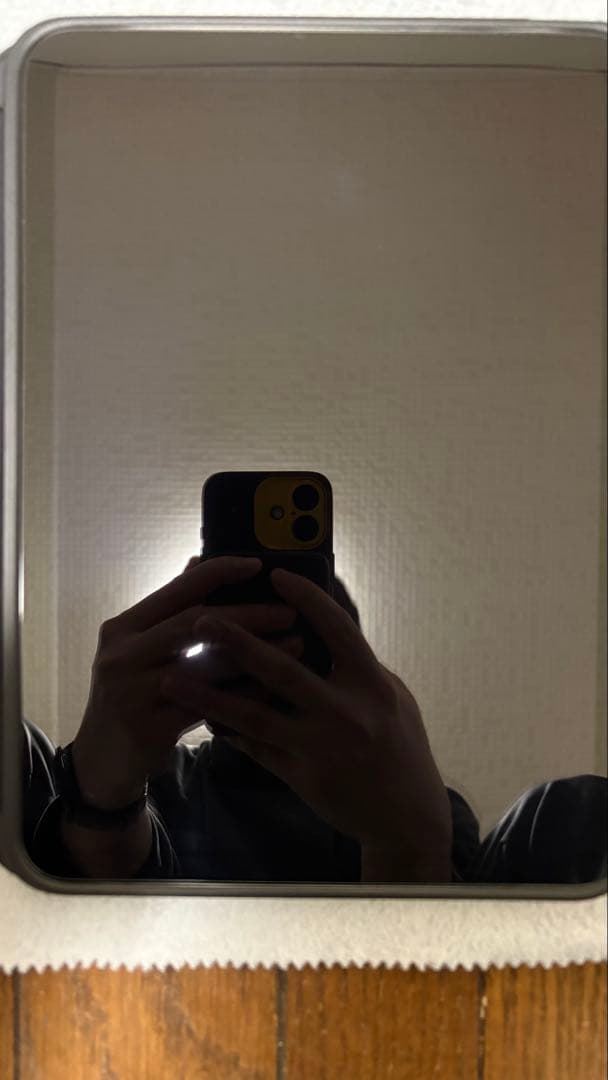 Apple iPad A16 256GBシルバー