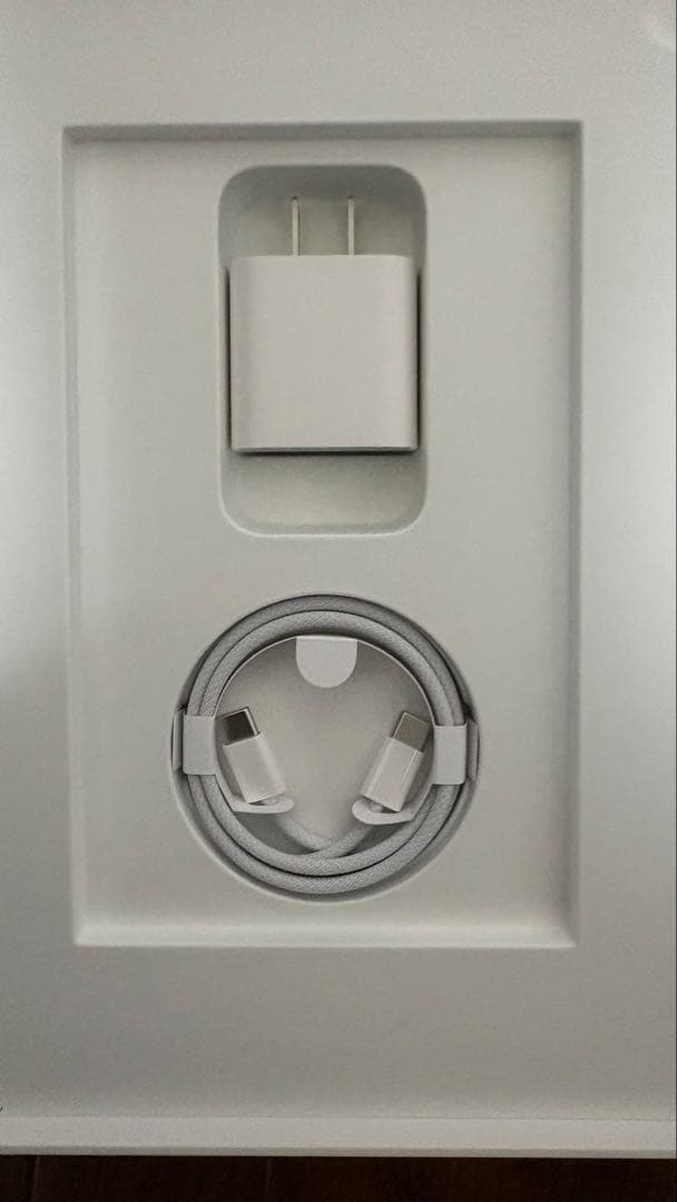 Apple iPad A16 256GBシルバー