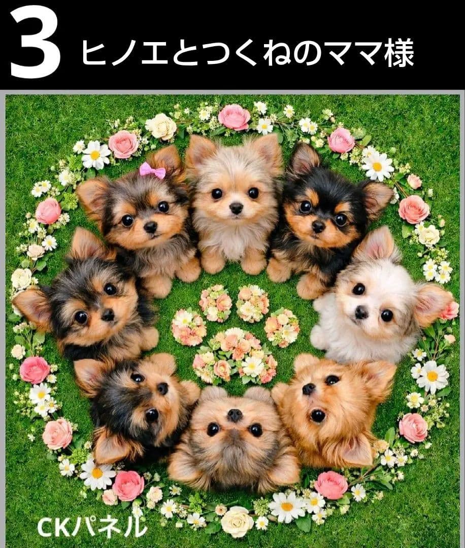 オーダーページ　ハンカチ　55 リースわんこ柄　ハンドメイド2/8