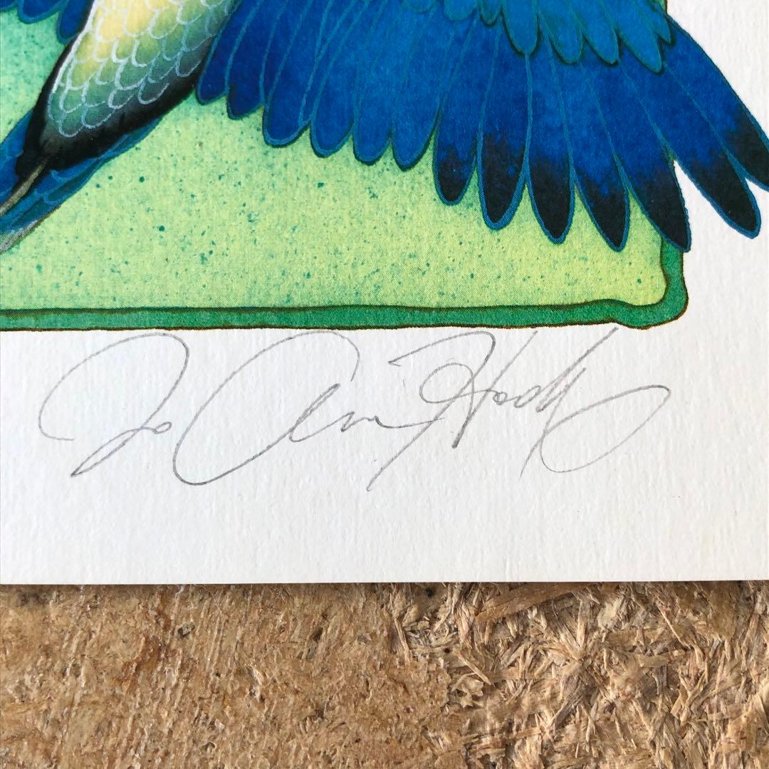 【直筆サイン入り】ジョアン・フック リトグラフ?