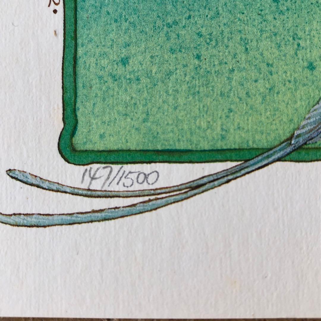 【直筆サイン入り】ジョアン・フック リトグラフ?