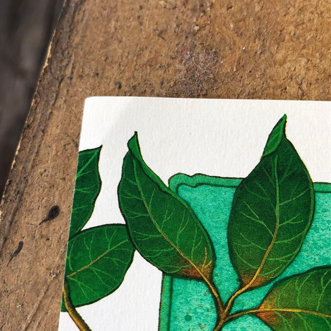 【直筆サイン入り】ジョアン・フック リトグラフ?