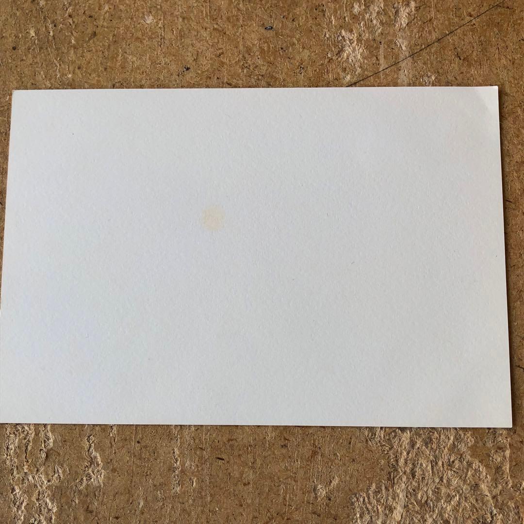 【直筆サイン入り】ジョアン・フック リトグラフ?