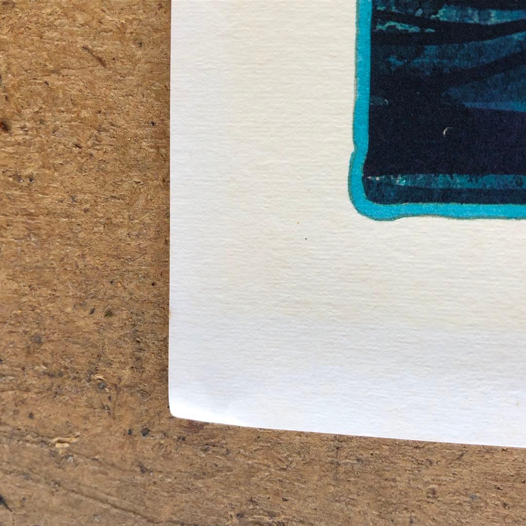 【直筆サイン入り】ジョアン・フック リトグラフ?