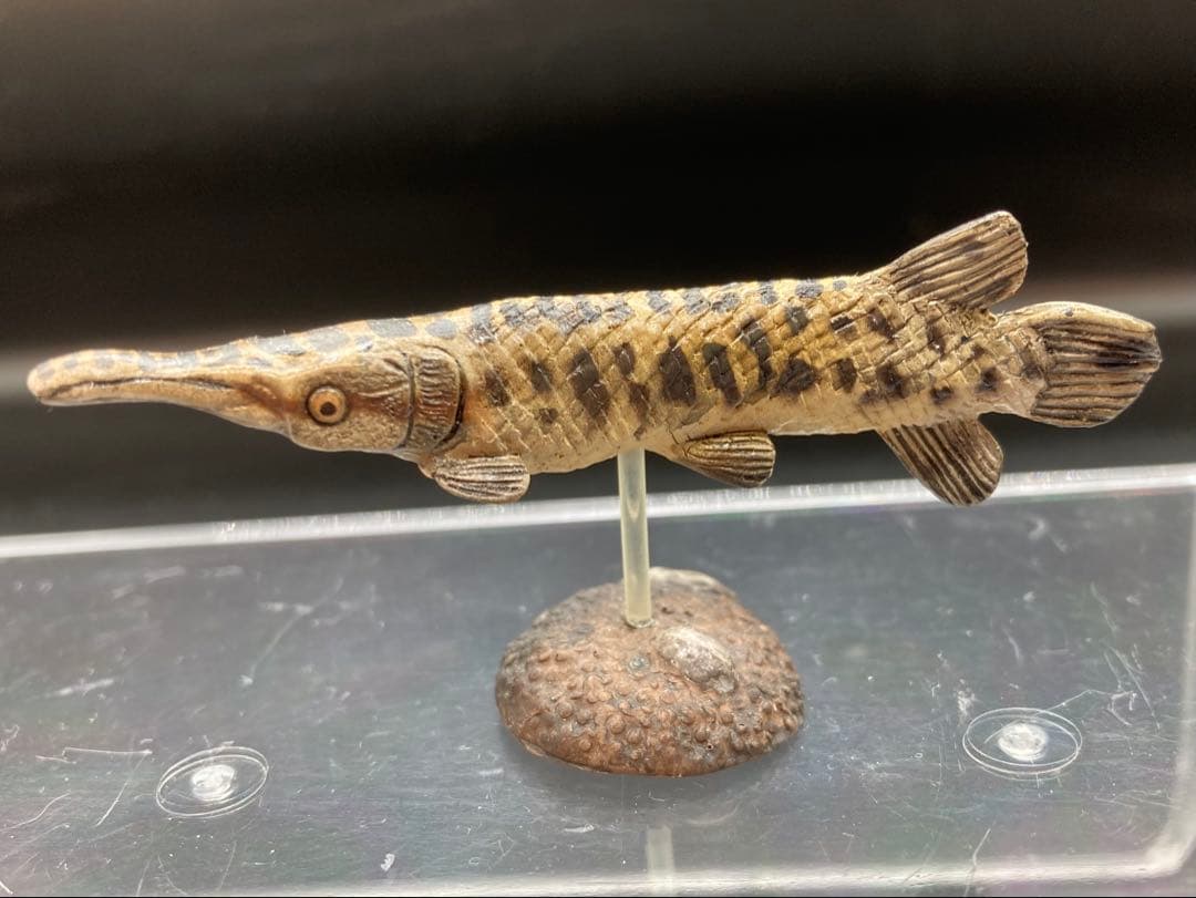 動物 生き物フィギュア ガレージキット 塗装済み完成品 11体セット