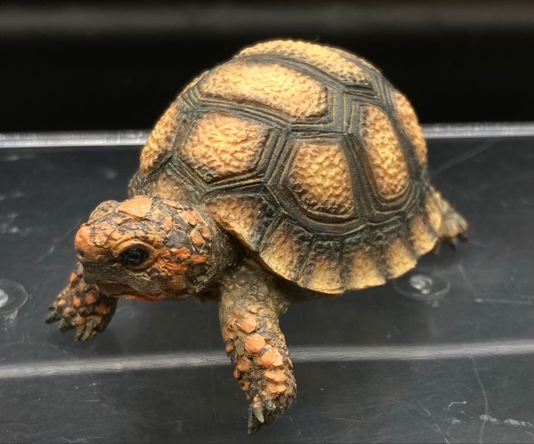 動物 生き物フィギュア ガレージキット 塗装済み完成品 11体セット