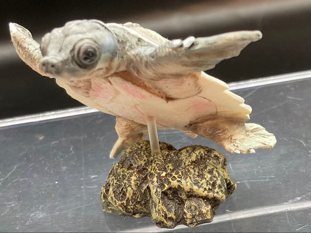 動物 生き物フィギュア ガレージキット 塗装済み完成品 11体セット