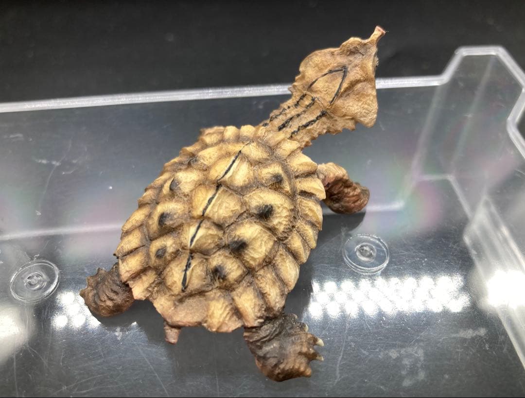 動物 生き物フィギュア ガレージキット 塗装済み完成品 11体セット