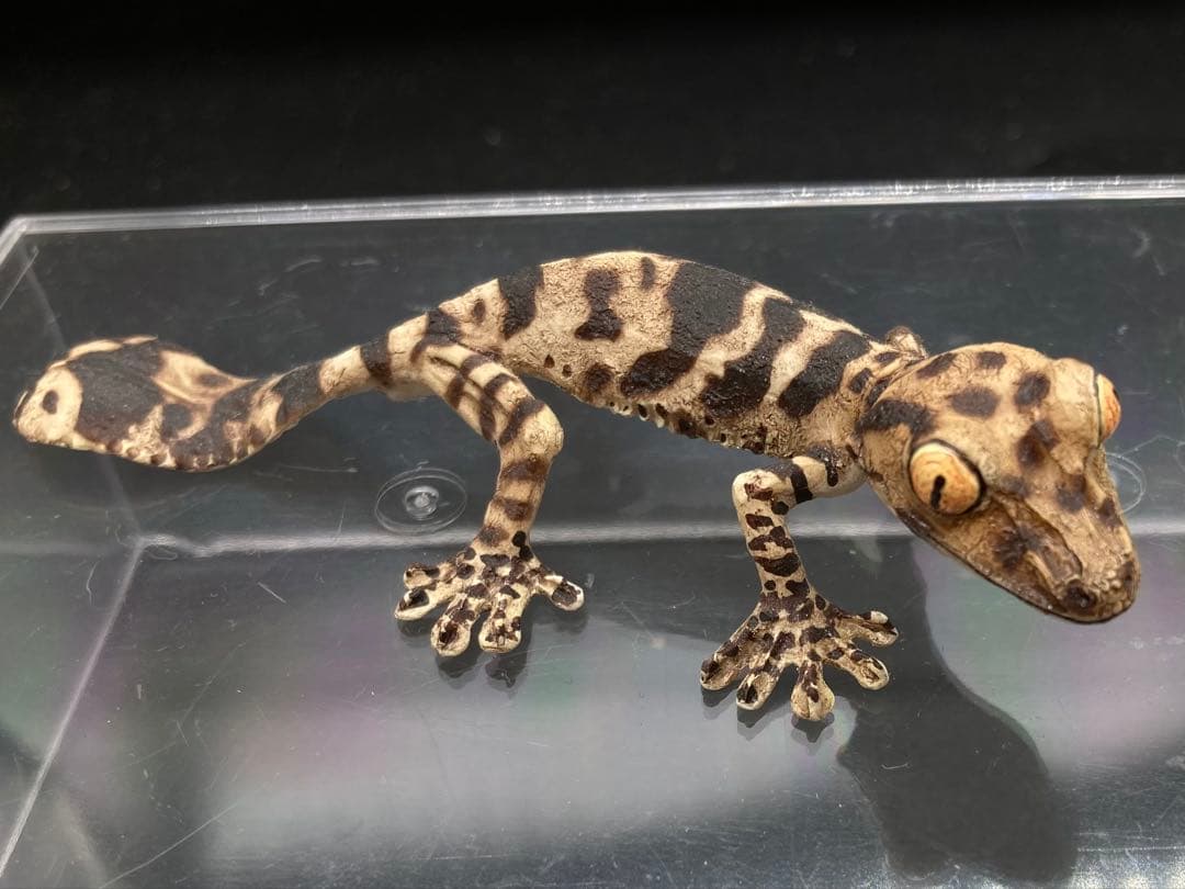 動物 生き物フィギュア ガレージキット 塗装済み完成品 11体セット