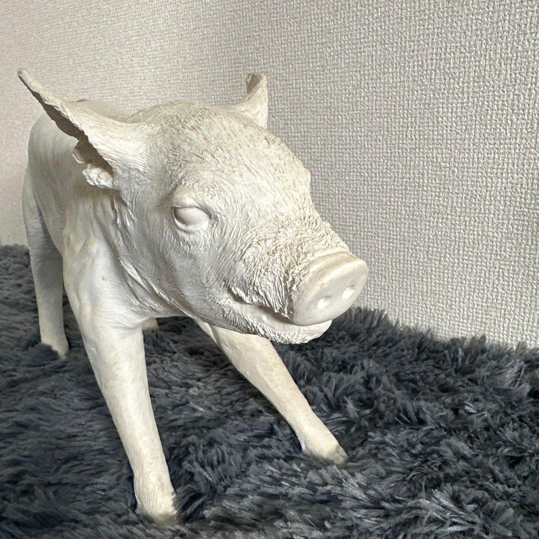 激レア HARRY ALLEN AREAWARE ブタの貯金箱 ホワイト