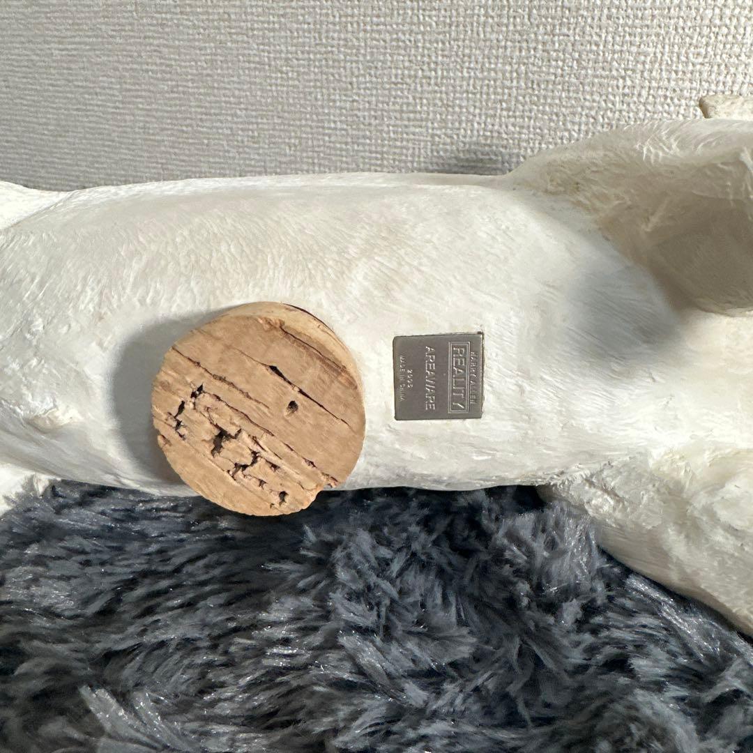 激レア HARRY ALLEN AREAWARE ブタの貯金箱 ホワイト