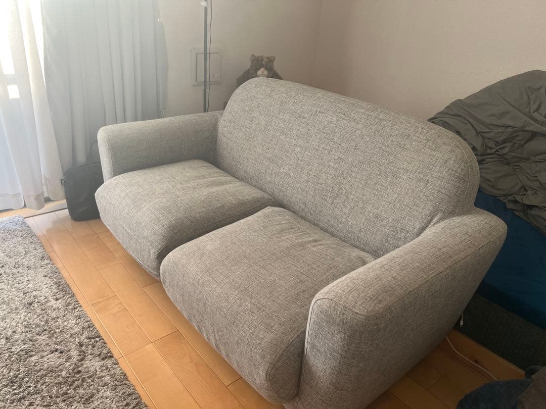 【即購入⭕️まとめ買い⭕️】 Francfrancファブリックソファ