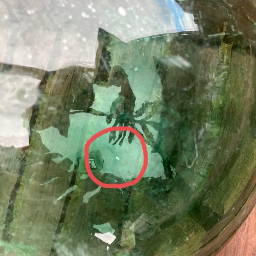 【北の刻印あり】高さ約35cm 円周約113cm ガラス玉　浮き玉