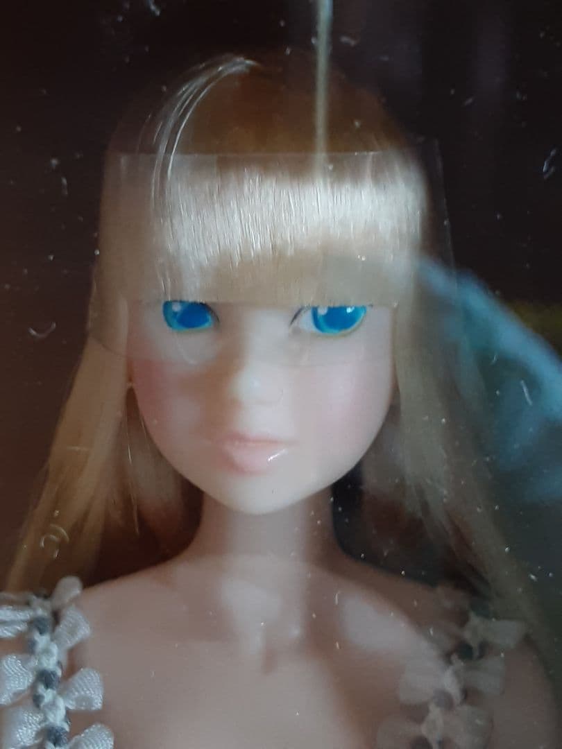 激レア❗ Wake-Up momoko DOLL WUDsp Azone002