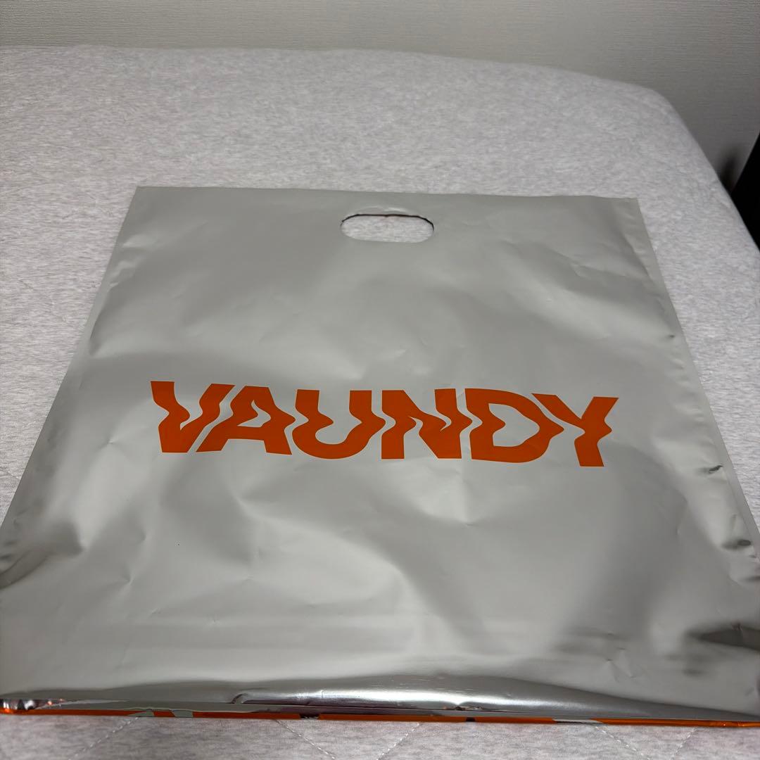 VAUNDY DOME TOUR 2026 ストラップ　ルービックキューブ他