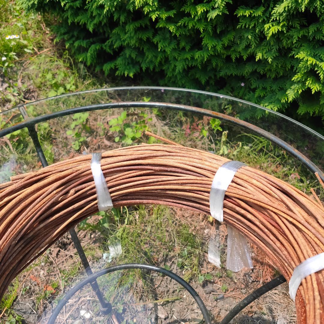 青森県岩木山採取　あけび蔓　150cm～　1kg