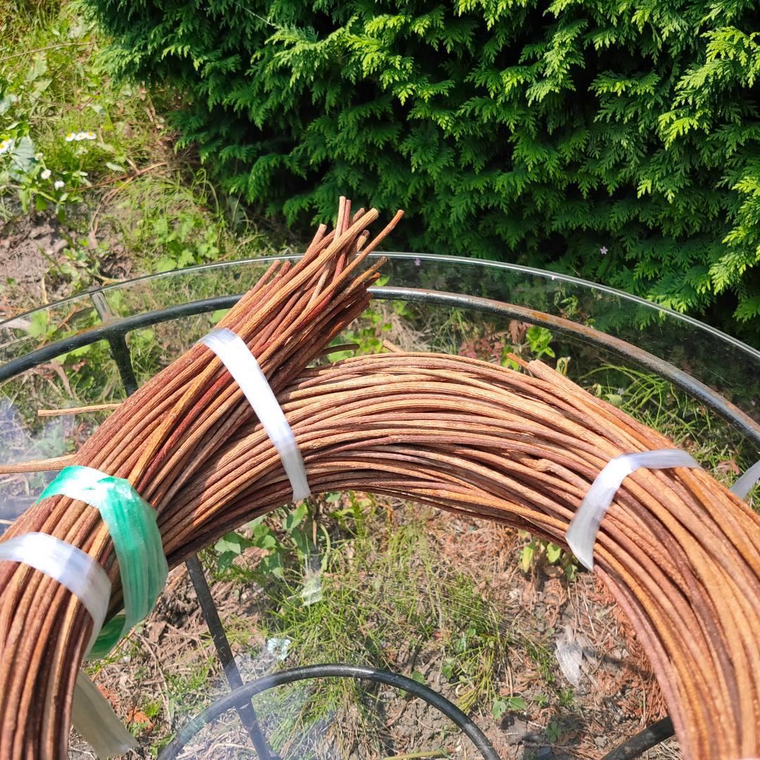 青森県岩木山採取　あけび蔓　150cm～　1kg