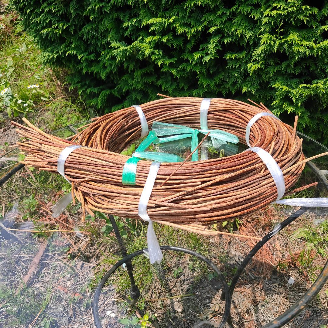 青森県岩木山採取　あけび蔓　150cm～　1kg