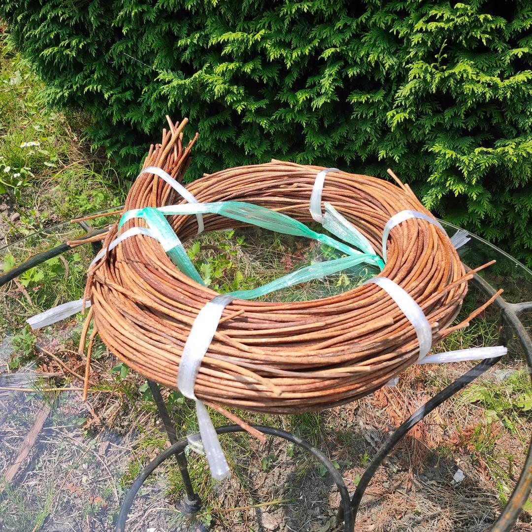 青森県岩木山採取　あけび蔓　150cm～　1kg