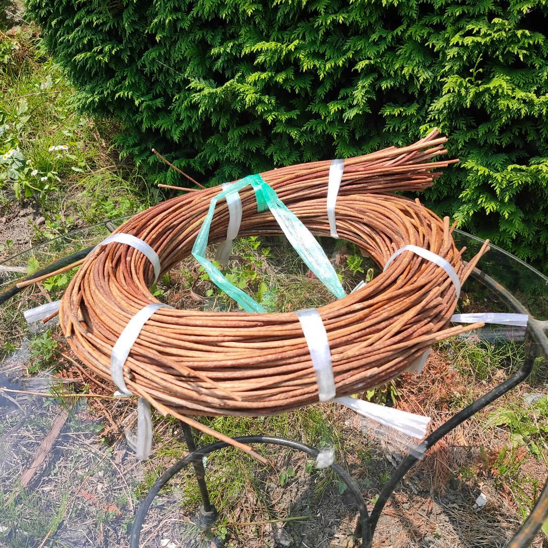 青森県岩木山採取　あけび蔓　150cm～　1kg