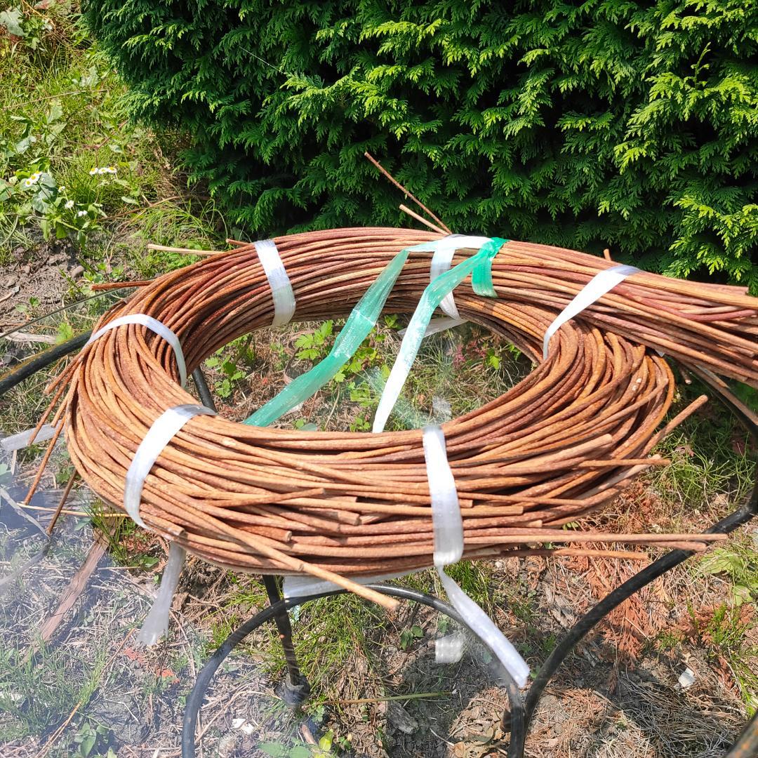 青森県岩木山採取　あけび蔓　150cm～　1kg