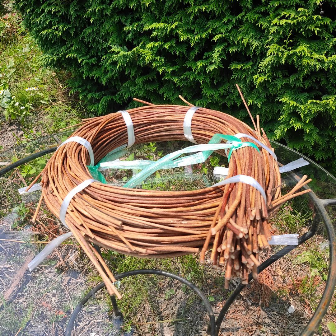 青森県岩木山採取　あけび蔓　150cm～　1kg