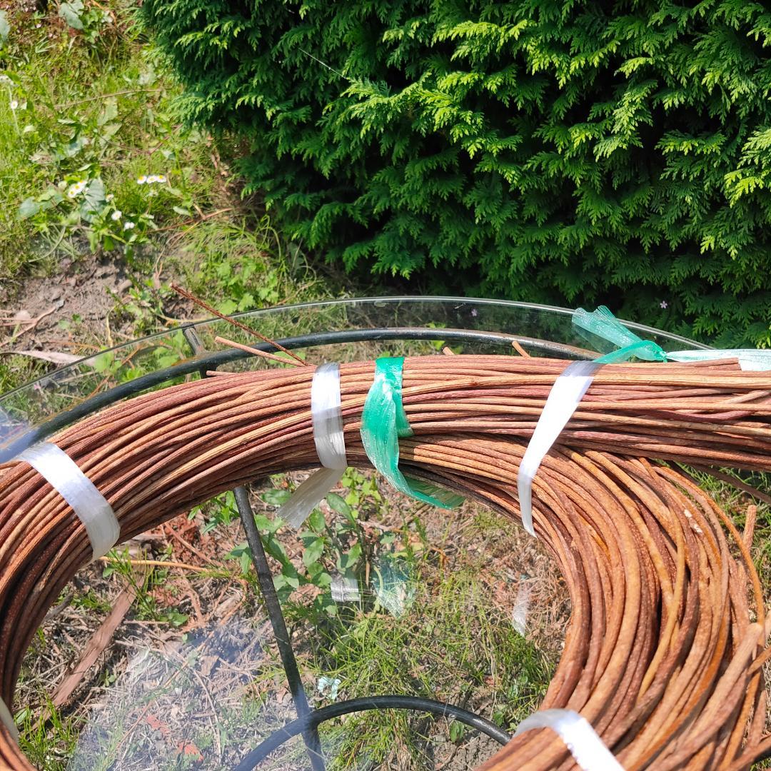 青森県岩木山採取　あけび蔓　150cm～　1kg