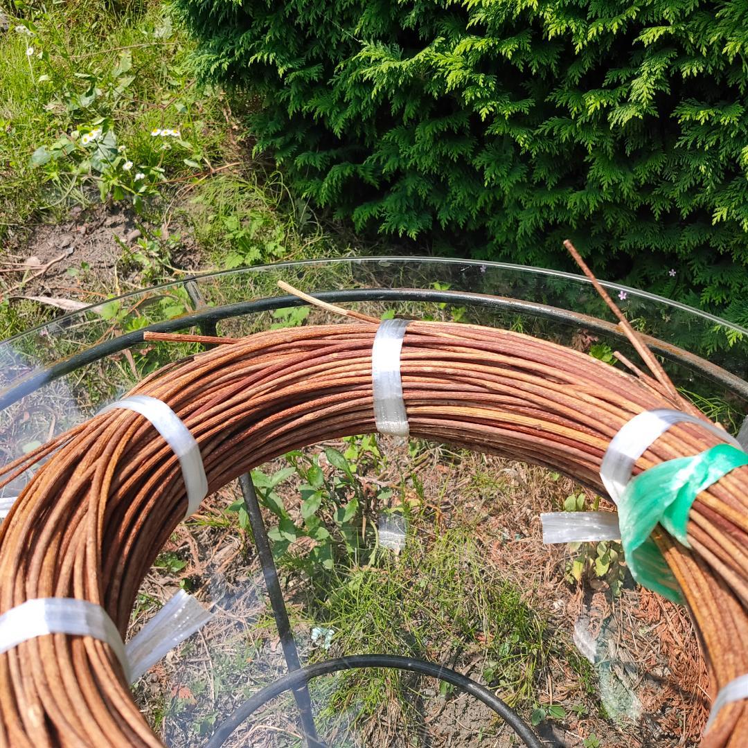 青森県岩木山採取　あけび蔓　150cm～　1kg